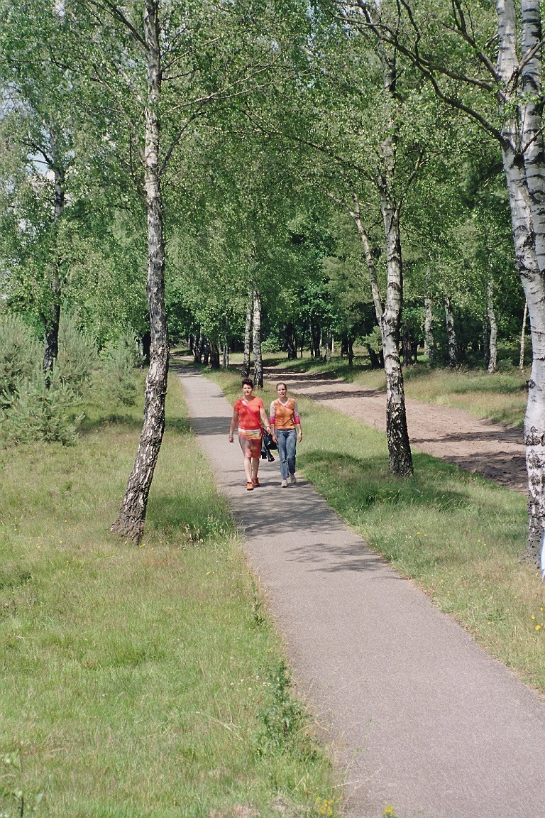 Imm016 51