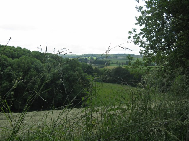 IMG 0201