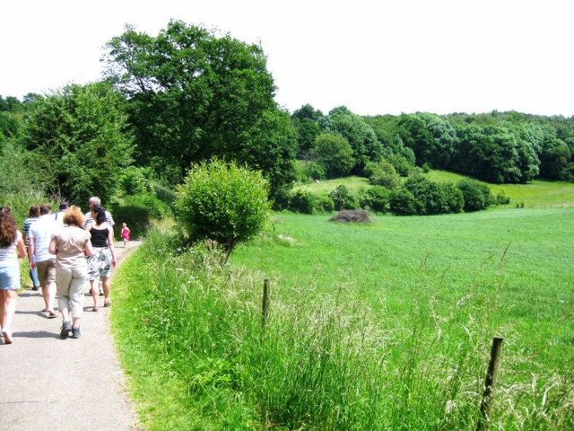 IMG 0695