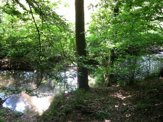 IMG 0705