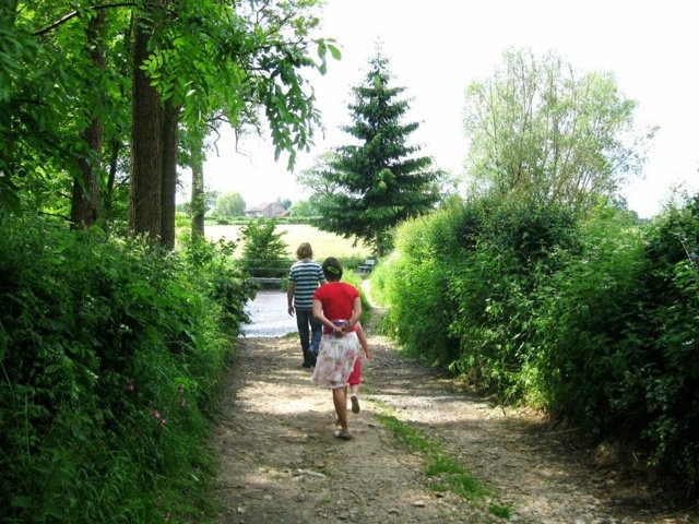 IMG 0711