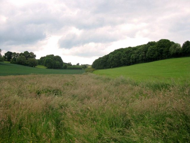 IMG 0715