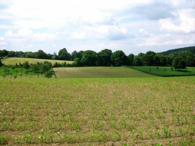 IMG 0720
