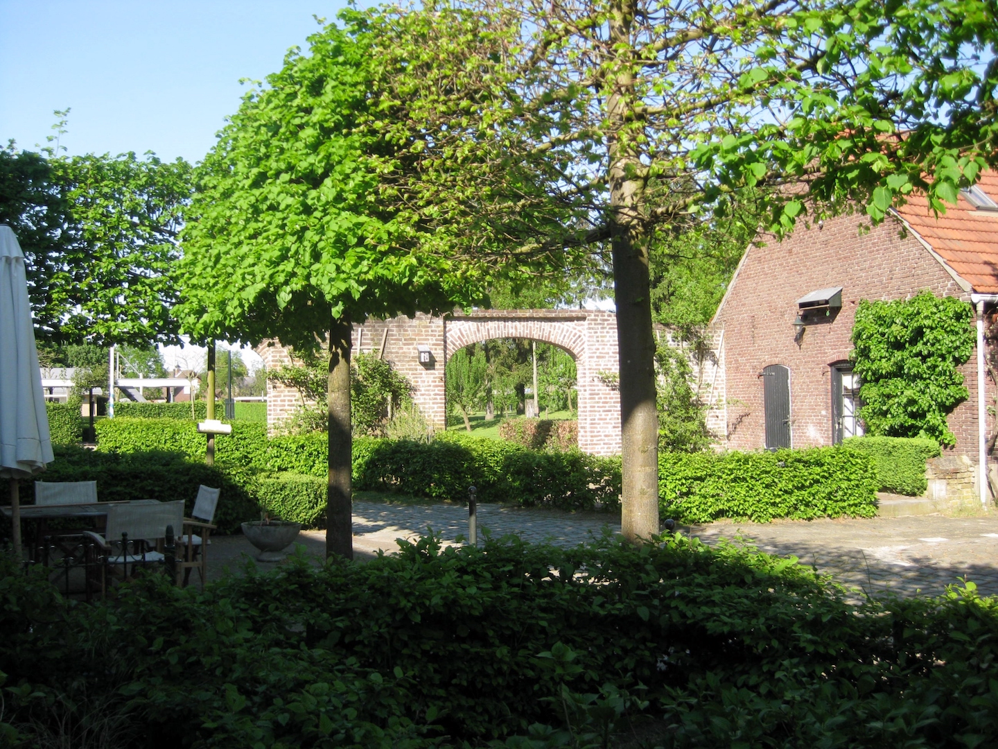 IMG 0931