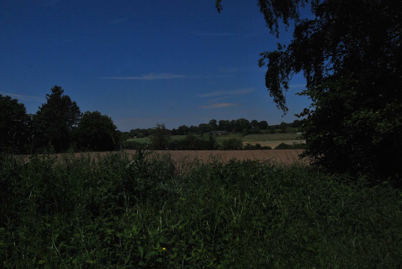DSC 0174
